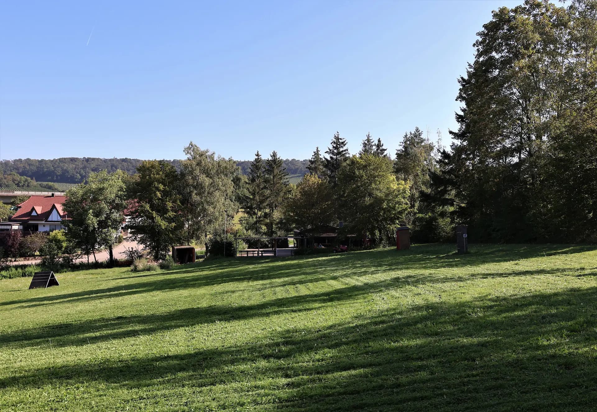 Training beim Boxer-Klub Heilbronn